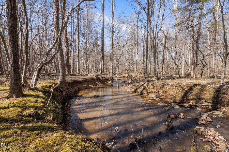 56-web-or-mls-P1112045