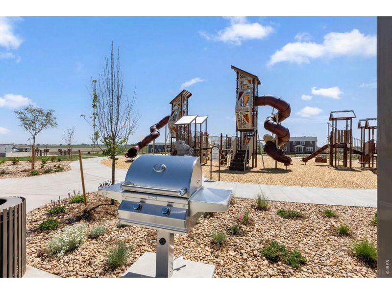 Community amenities in Cordovan, Longmont (Image 27). Community amenities in Cordovan, Longmont (Image 27).