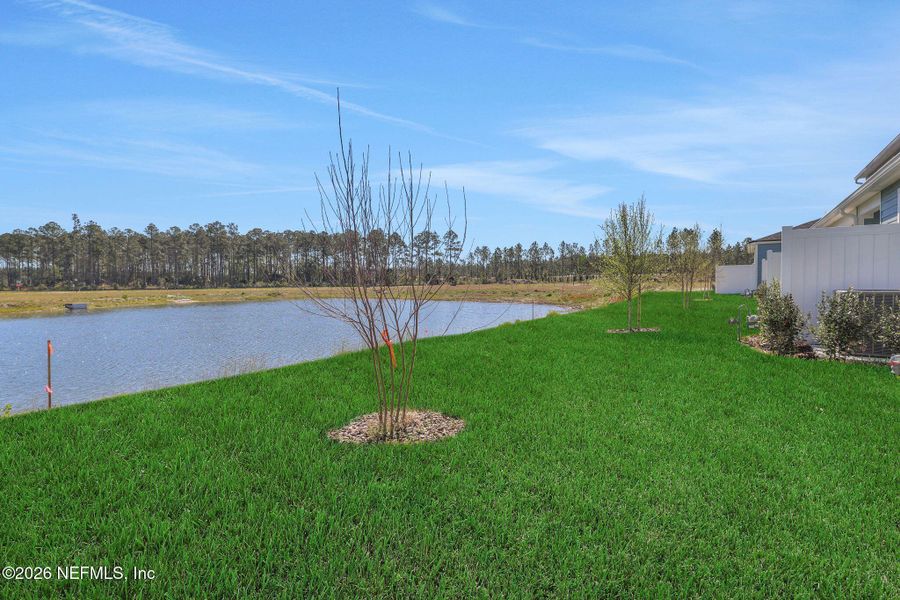 Natural landscape and outdoor views near Brook Forest in St. Augustine (Image 35).