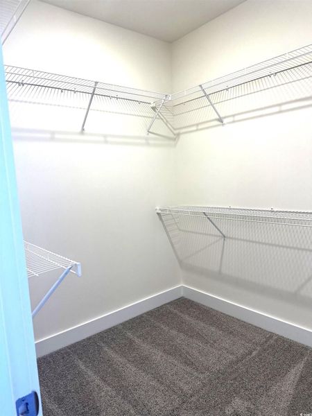 Walk in closet with dark carpet