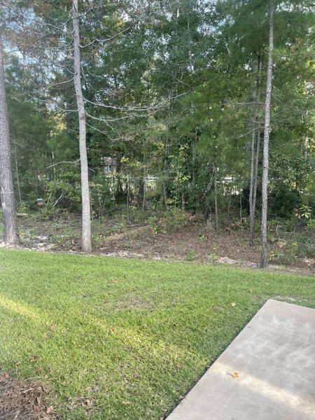 Image 41 of a home in Hampton Woods. Image 41 of a home in Hampton Woods.