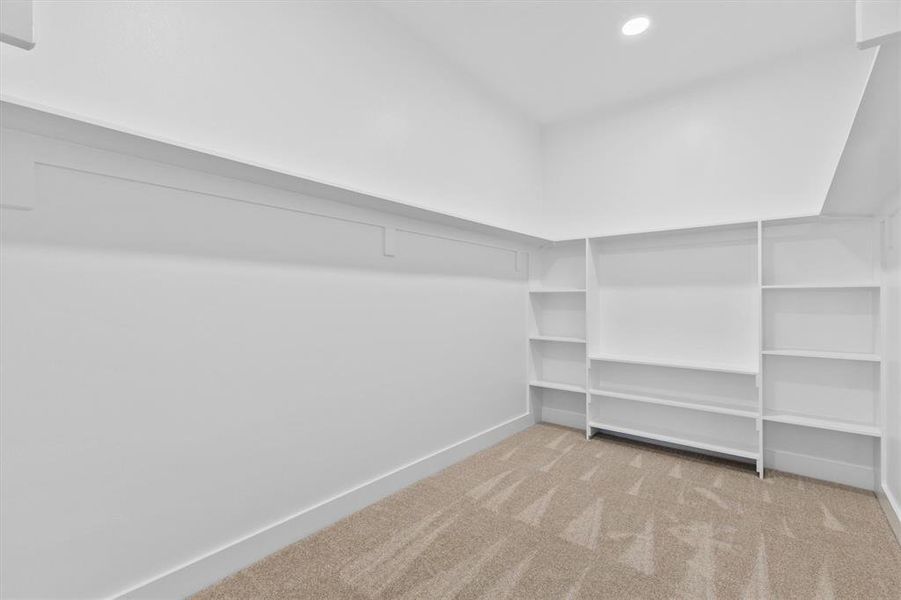 Spacious closet with carpet floors Spacious closet with carpet floors