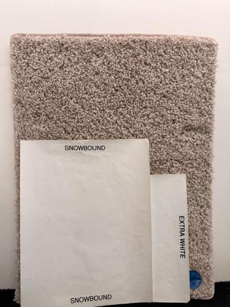 CARPET/PAINT CARPET/PAINT