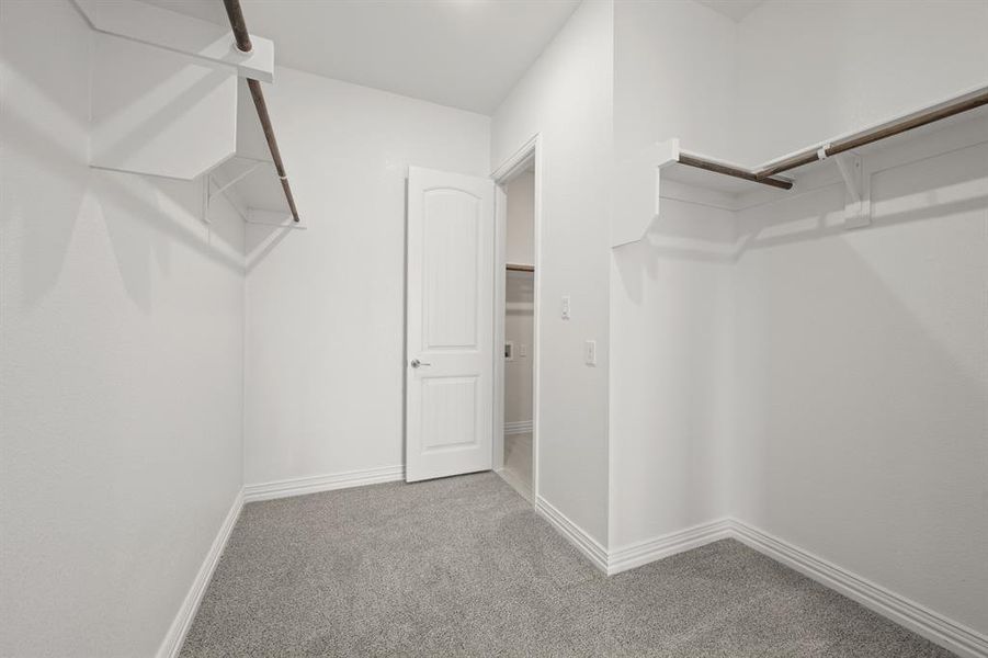 10610 Winter Wheat- Primary Suite-6 10610 Winter Wheat- Primary Suite-6