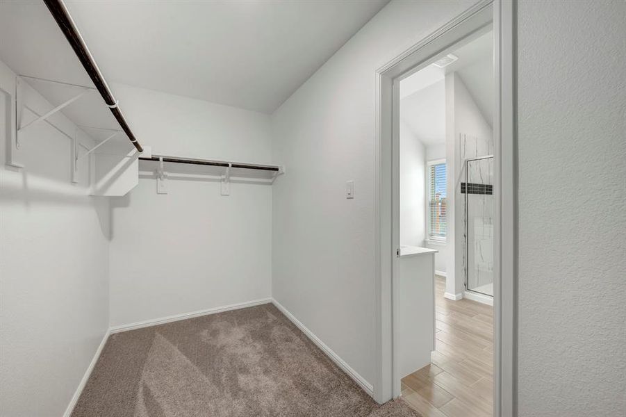 Spacious, unfurnished interior of a new home in Elevon, Lavon (Image 35).