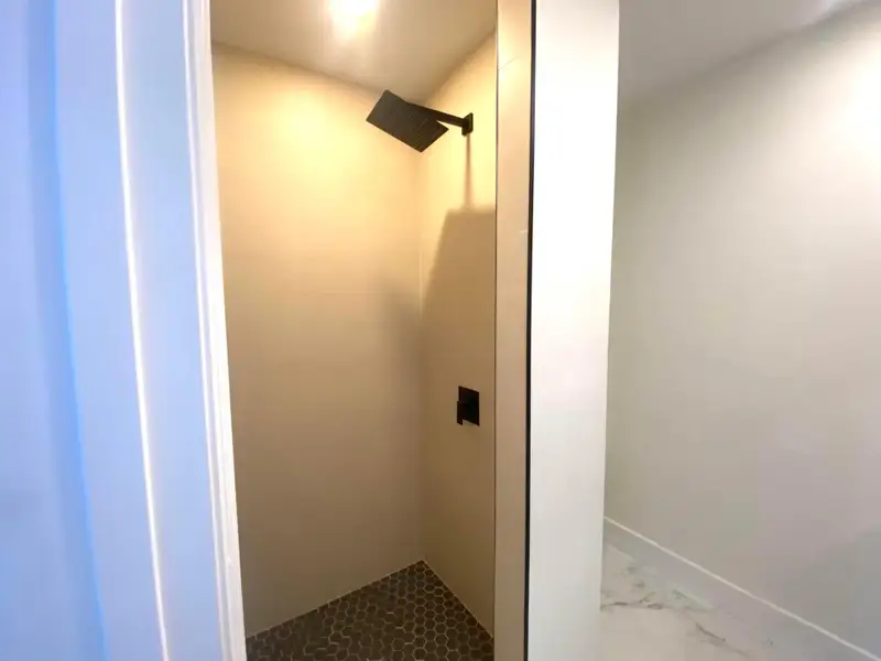 rain shower head, walk in shower