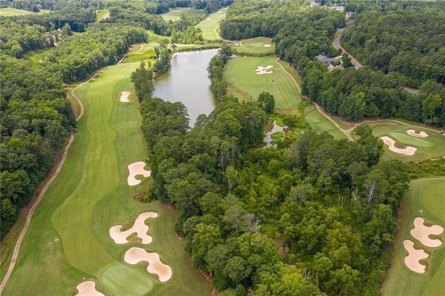 Natural landscape and outdoor views near  in Alpharetta (Image 109).