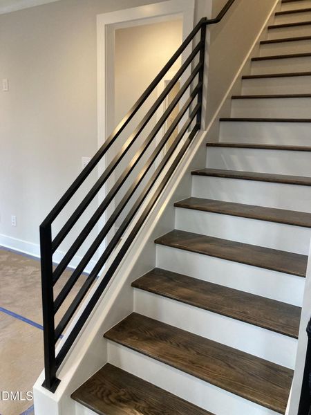 Photo Feb 08 2024, 4 46 12 PM