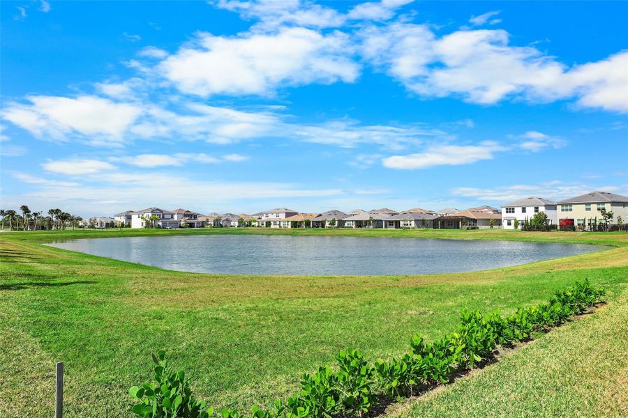 Tranquil Lakeview from your Backyard