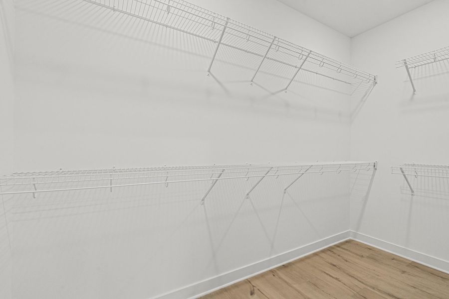 Spacious closet featuring light wood-style floors