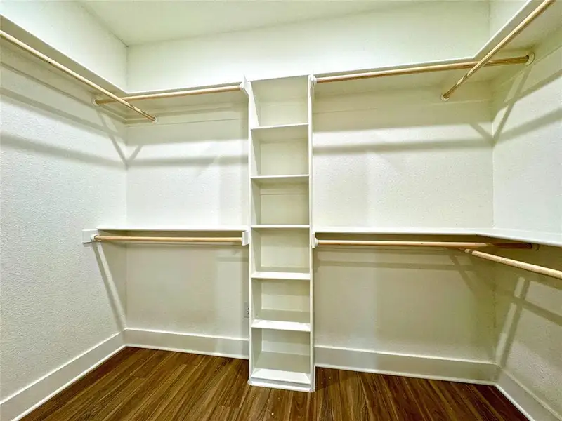 Spacious closet featuring dark wood-type flooring