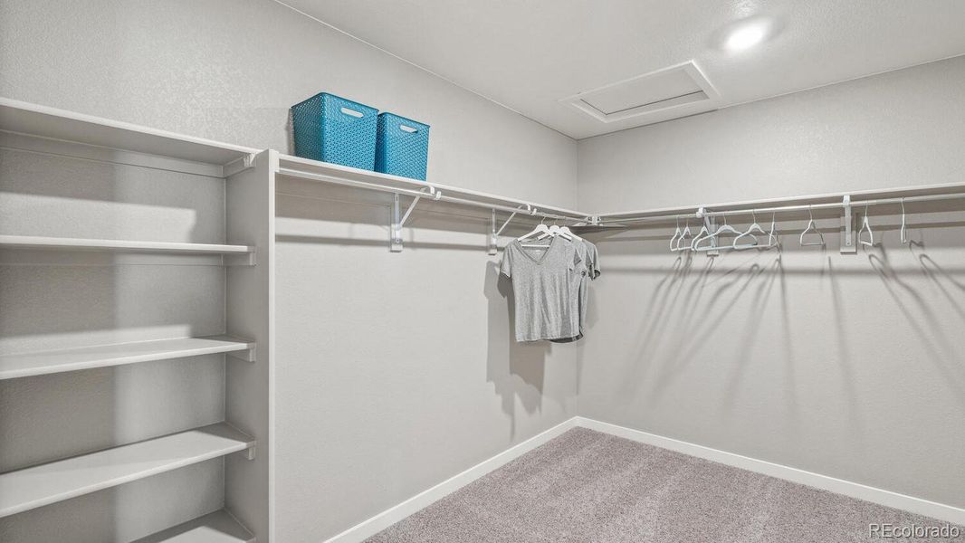 Spacious, unfurnished interior of a new home in Brighton Crossing, Brighton (Image 17). Spacious, unfurnished interior of a new home in Brighton Crossing, Brighton (Image 17).