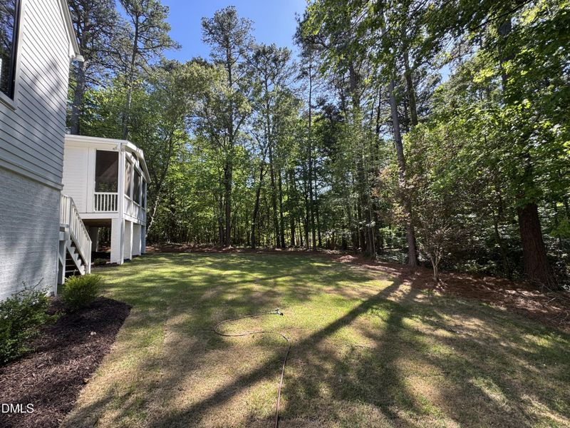 Back yard