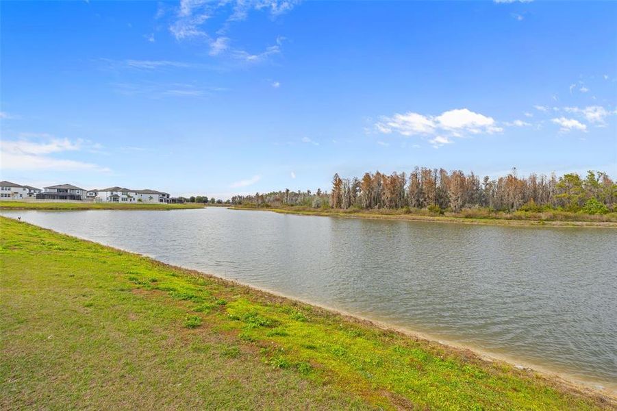 Natural landscape and outdoor views near in Wesley Chapel (Image 80). Natural landscape and outdoor views near in Wesley Chapel (Image 80).