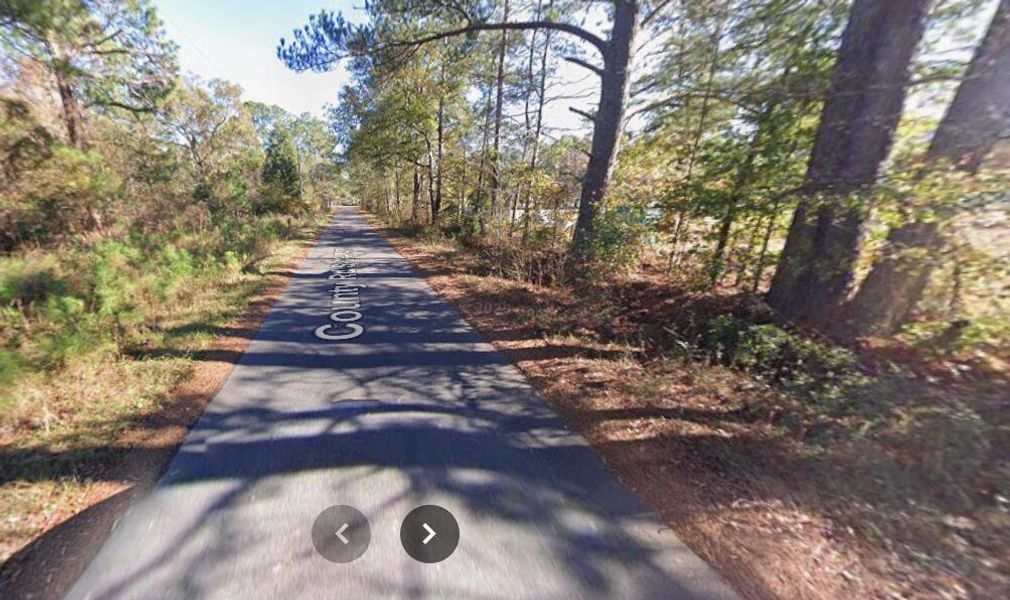 Natural landscape and outdoor views near  in Summerville (Image 3).