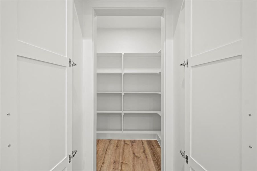 Walk in closet featuring wood-type flooring