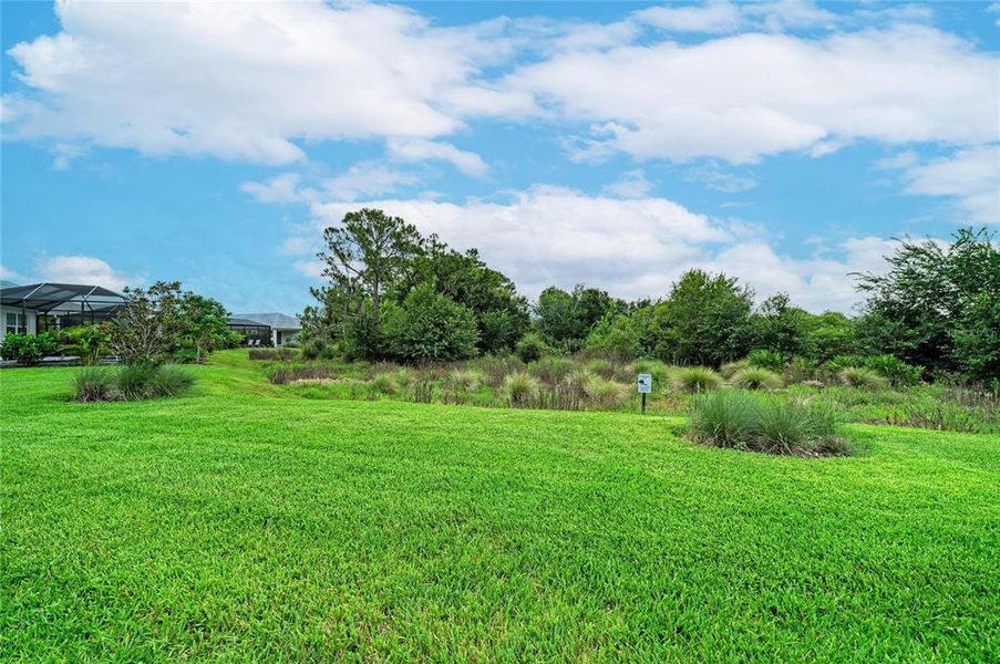 Natural landscape and outdoor views near  in Sarasota (Image 55).