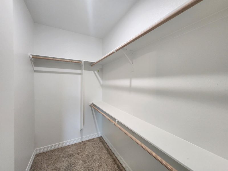 Walk-in closet featuring light-colored walls, carpeted flooring, white shelving, and wooden hanging rods