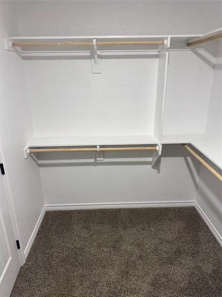 Spacious closet featuring carpet floors