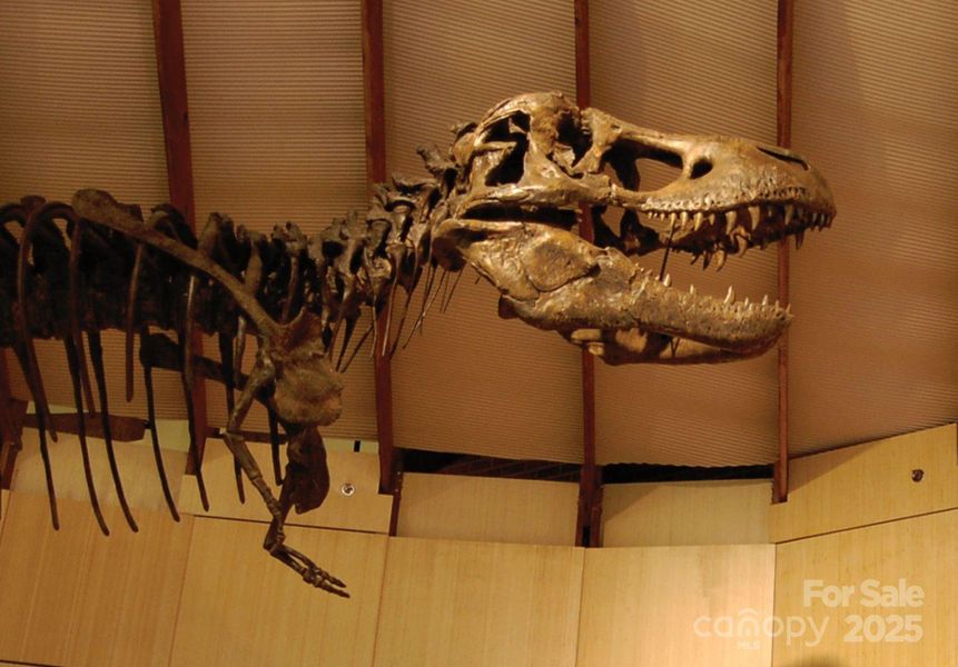 Image 28 of a home in The Terraces at Cramerton Mills.