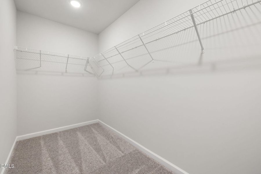 29-web-or-mls-DX3A1019