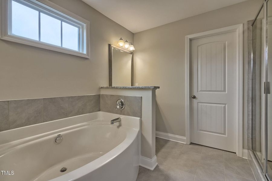 Owners Suite Bathroom | Stock Photo