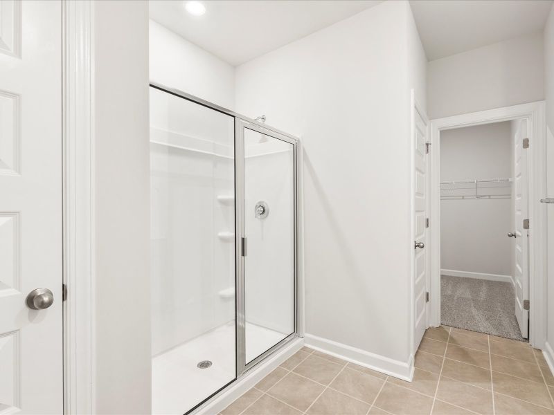 Welcome to the Chandler floorplan at Brayfield Manor - Signature Collection.