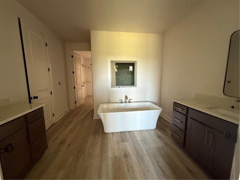 Furnished interior view inside a new home in , Madison (Image 7).