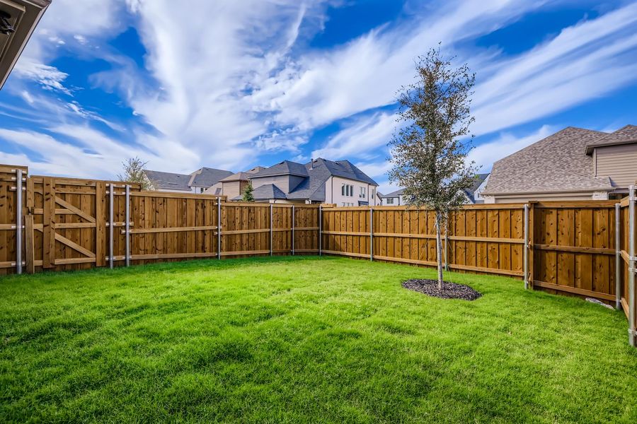 4413 Script - Backyard 4413 Script - Backyard