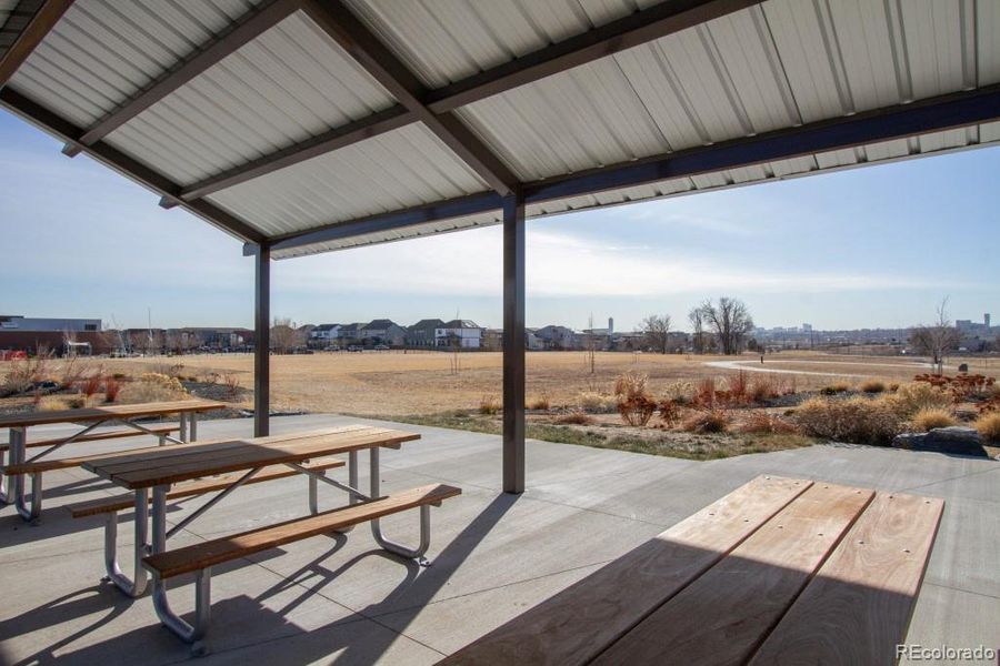 PATH/TRAILS ACCROSS THE STREET