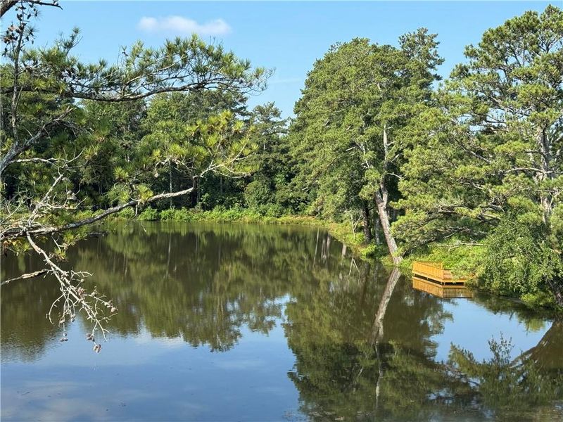 Natural landscape and outdoor views near  in Dacula (Image 43).