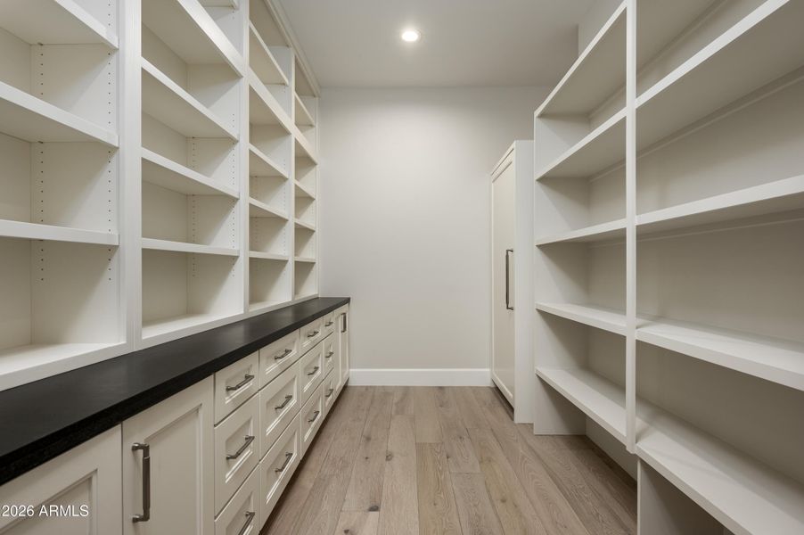 Kitchen Storage and Additional Fridge