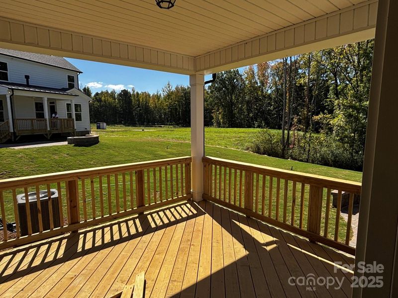 Exterior details and patio area of a home in Waterford Commons, Rock Hill (Image 3).