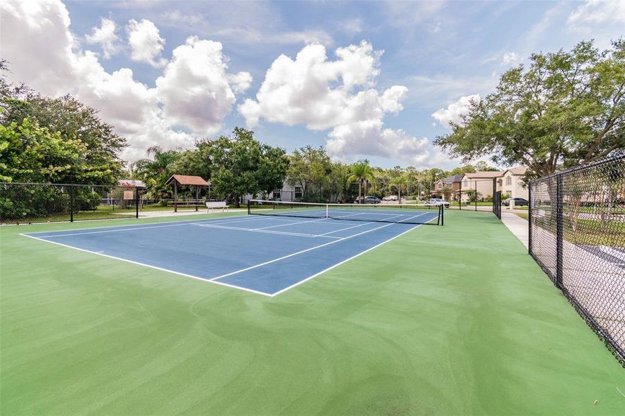 Community amenities in , Oldsmar (Image 52). Community amenities in , Oldsmar (Image 52).