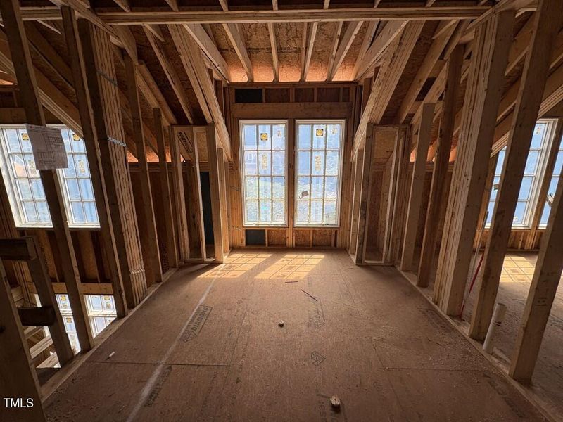 Photo Sep 02 2025, 2 16 56 PM (Medium)