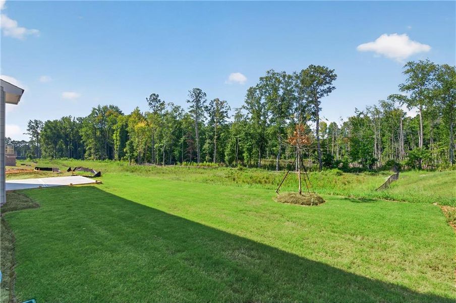 Natural landscape and outdoor views near  in Loganville (Image 72).