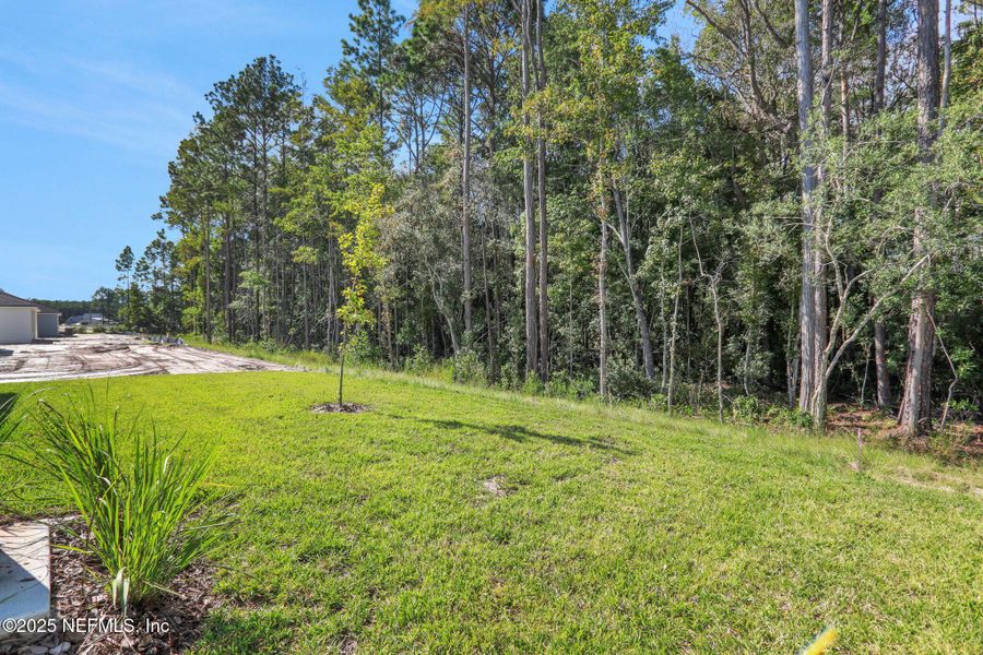 Natural landscape and outdoor views near Bellbrooke in Jacksonville (Image 45). Natural landscape and outdoor views near Bellbrooke in Jacksonville (Image 45).