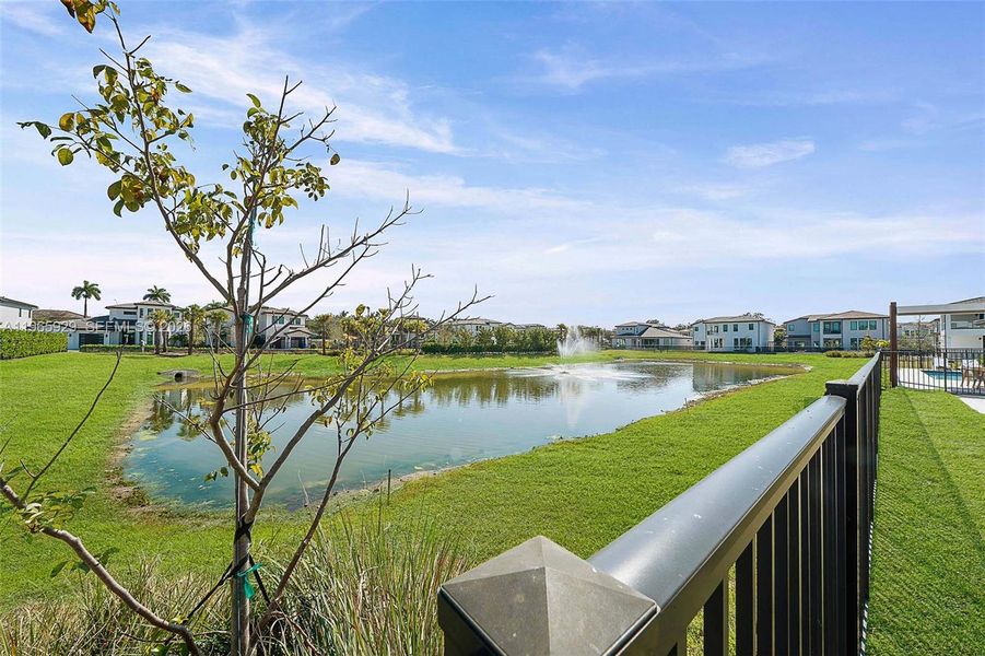 Natural landscape and outdoor views near  in Hollywood (Image 89).