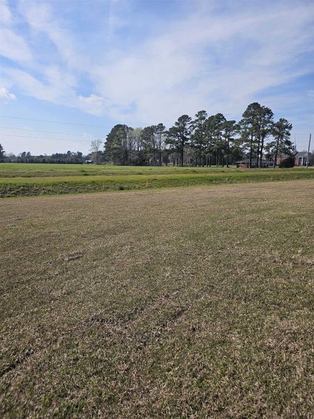 Natural landscape and outdoor views near Edgefield in Loris (Image 19).