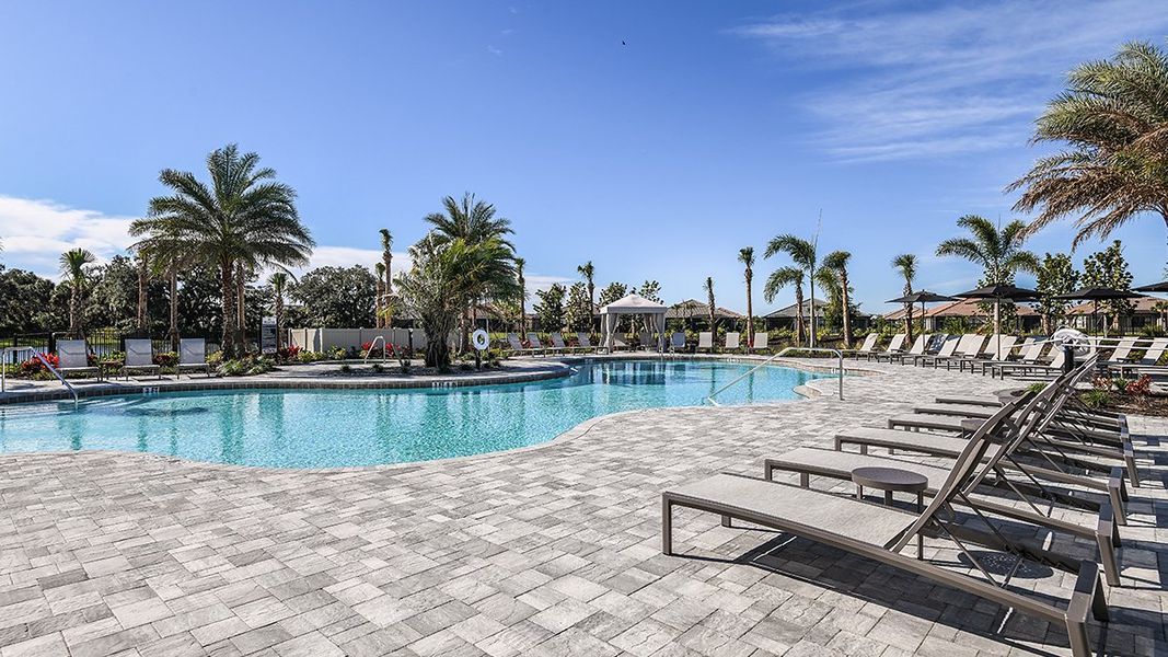 Community amenities in Skye Ranch Community Group Page, Sarasota (Image 46).