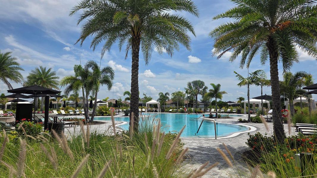 Pool Pool