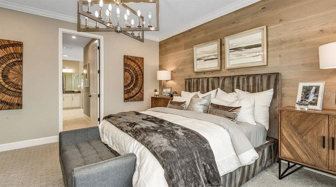 REPRESENTATIVE PHOTOS