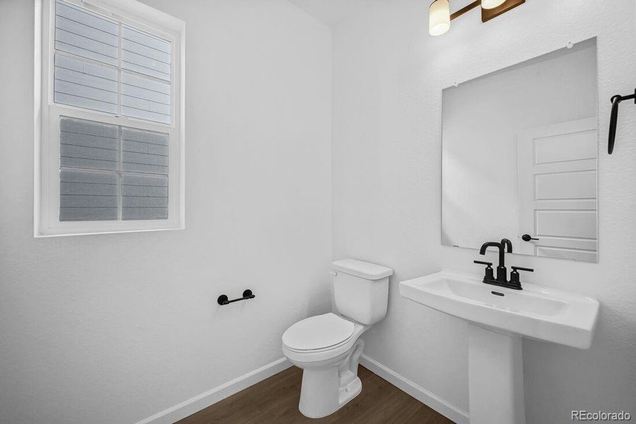 8800 Whiteclover ~ Ready Now