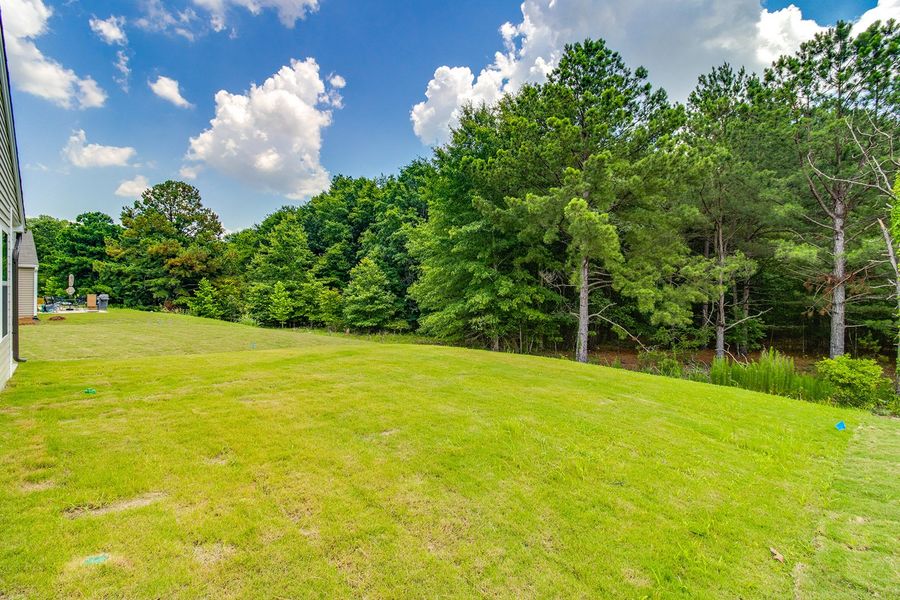 Natural landscape and outdoor views near Bluefield in Lexington (Image 30). Natural landscape and outdoor views near Bluefield in Lexington (Image 30).