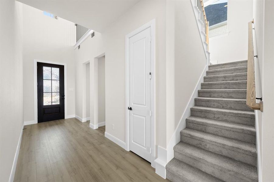 16957 Leatherflower- Entry-1