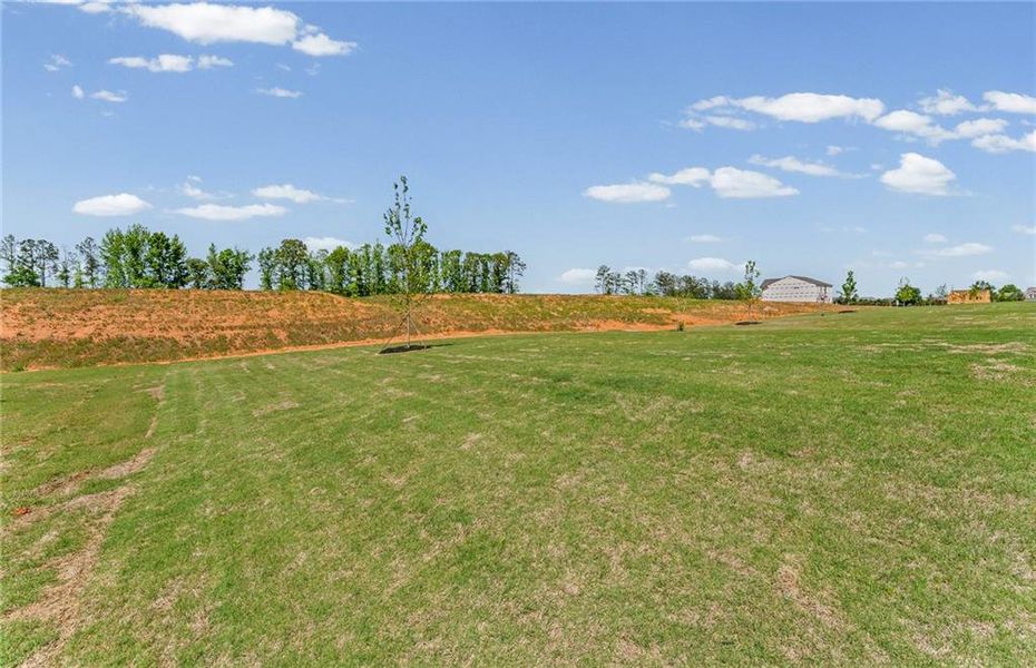 Natural landscape and outdoor views near Anderson Point in McDonough (Image 25).