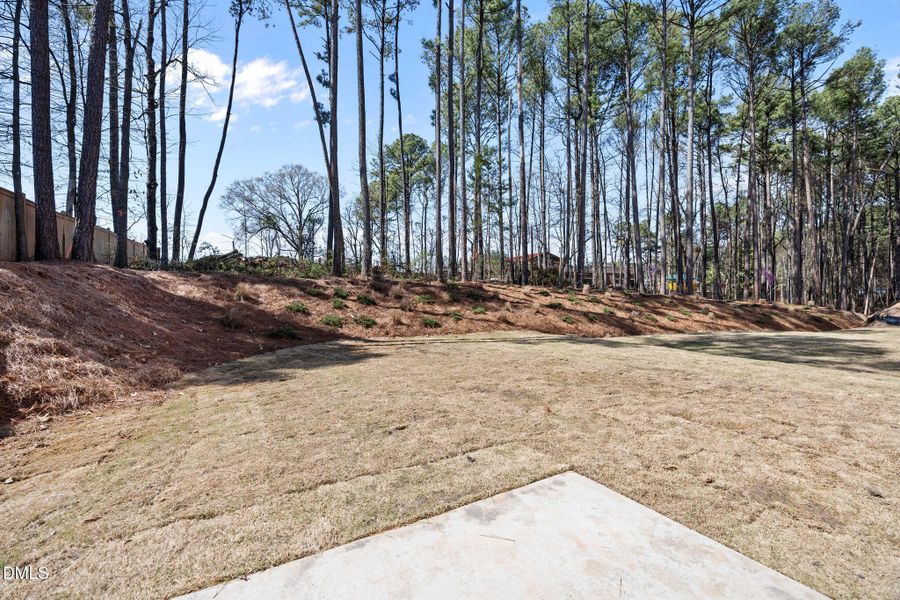 20-web-or-mls-IMG_9023