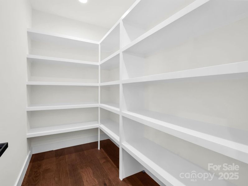 Spacious Pantry
