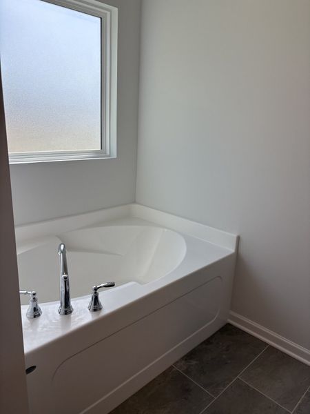 Furnished interior view inside a new home in Salem Landing, Rockvale (Image 6).