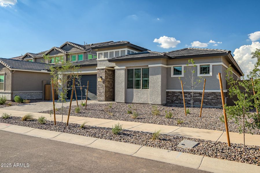 Palo Verde Lot 302 (3)